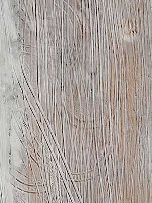 Motorized tracks on Atlantic Beach during vehicle season.