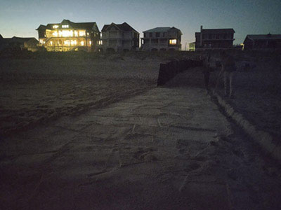 Shade cloth shields hatchlings from some light pollution emerging from uncovered windows.