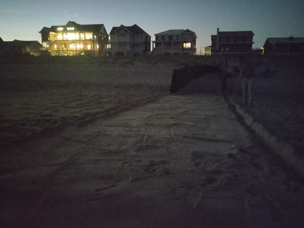 Shade cloth shields nest and hatchlings from some light,
but window curtains would make a big difference.