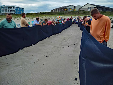 Spectators observing a hatchling run.