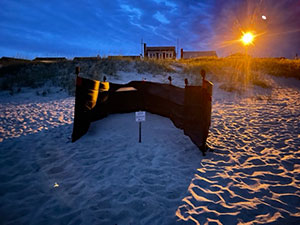 ABSTP's newest shade cloth shielding nest from spotlight.