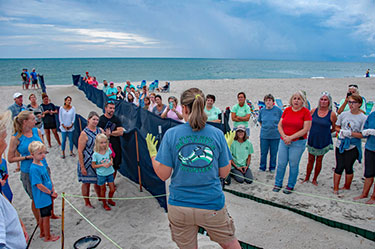 Volunteers providing spectators with information and answering their questions about sea turtles.