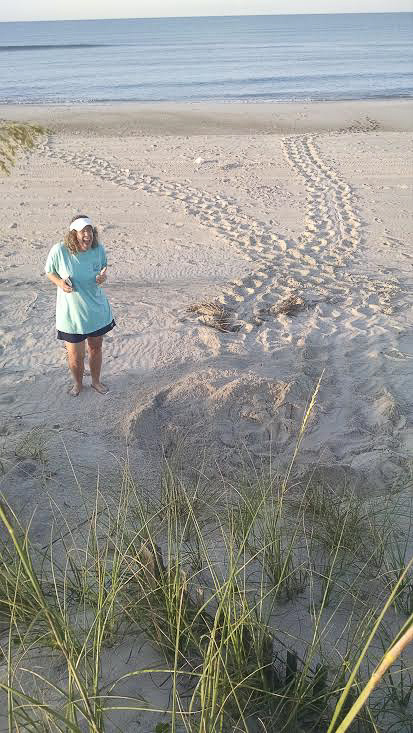 Atlantic Beach sea turtle volunteer smiling beside sea turtle tracks to a nest.