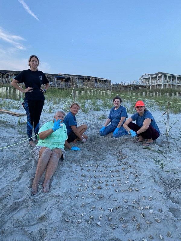 Volunteers wearing gloves excavate a sea turtle nest and count the shells from the hatched turtles.